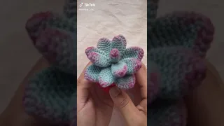 Crochet succulent plants 🪴