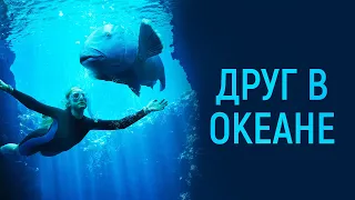 Друг в океане / Blueback (2022) / Драма, Семейный