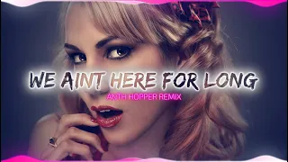 We ain’t here for long ( Anth Hopper Remix )