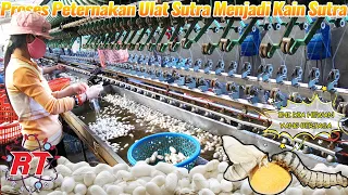 Silkworm Agriculture | Stages of the Process of Cultivating Silkworms into Silk Threads