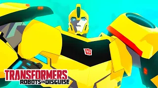 Bumblebee Arrives | Robots in Disguise | Compilation | Animation | Transformers Official