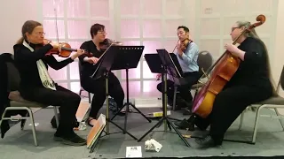 Cardinal String Quartet performing Thousand Years by Christina Perri