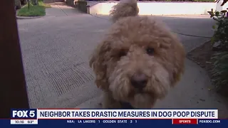 Neighbor takes drastic measures in dog poop dispute