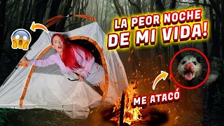 ME ATACÓ UN ANIMAL!!!😭🦝 24 HORAS ACAMPANDO🏕 | Jenny Devil😈