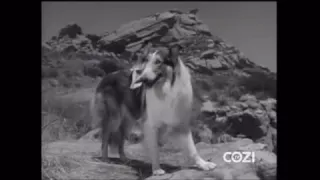 Lassie - Episode #306 - "Lassie’s Lonely Burden" - Season 9, Ep. 15 - 01/20/1963