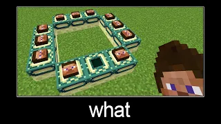 Minecraft wait what meme part 176 (steve portal)