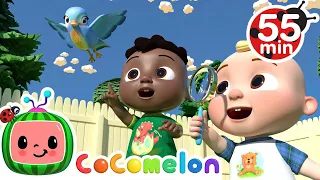 I Spy Song + More Nursery Rhymes & Kids Songs - CoComelon