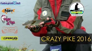 Ловля щуки осенью на озере Барабой. Crazy Pike 2016.