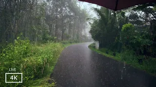 4K Rain Walks Compilation: ASMR Sounds of Rain  Help You Relax and Sleep with in Minutes