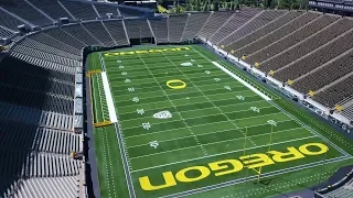 Only the best for The Ducks - NEW Turf