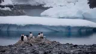 Antarctic sea ice has reached a record low for the year, researchers say