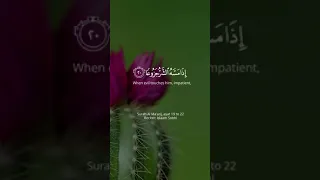 Surah Al Ma'arij, ayat 19 to 22