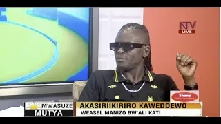 NTV Mwasuzemutya: Emboozi ya Weasel Manizo