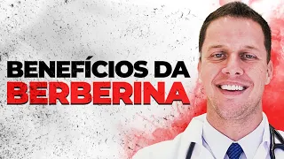 Benefícios da BERBERINA.  | Dr. Túlio Sperb