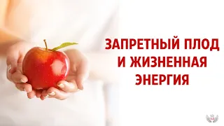 Запретный плод и жизненная энергия