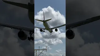 AIRBUS A350 CLOSE CALL 🕊️ #planespotting #aviation #schiphol #airport #plane #storm #birdstrike