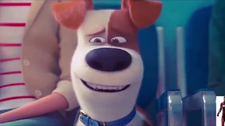 The Secret Life of Pets 2 Trailer 2019  | MoviesAccess Trailer