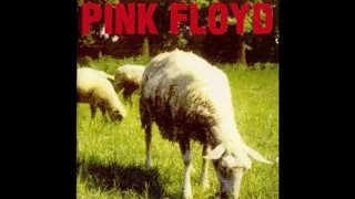 PINK FLOYD DOGS AND SHEEPS 1975