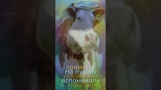 Народный календарь: Приметы на Вукол Телятник, Жуколы.