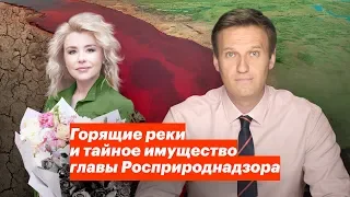 Горящие реки и тайное имущество главы Росприроднадзора