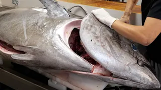 Luxury Sashimi! How to Fillet a $10,000 Tuna