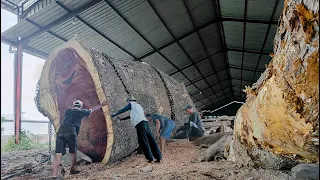 Prepared funds of 300 million, British conglomerate brings in trembesi wood sawn by sawmill for plan