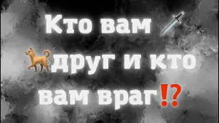 КТО ВАМ ДРУГ И КТО ВАМ ВРАГ⁉️🐕🗡️