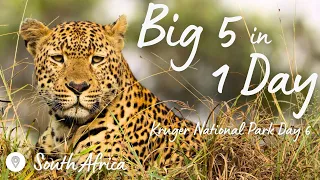 Kruger Park Day 6: Big 5 in 1 Day on a self drive safari | Berg-en-Dal | Expedition Wild
