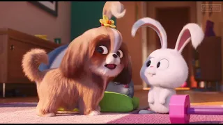 THE SECRET LIFE OF PETS 2   16 Minutes Clips + Trailers 2019