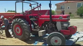 Kırıkkale’de Hasat Zamanı MASSEY FERGUSON 168 🌾❣️