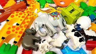 Satisfying Building Blocks ASMR Marble Run - Block Coaster Elephant giraffe and livestock track