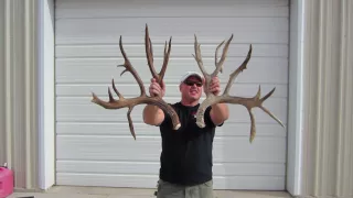 New #3 Nontypical Shed Antlers from Idaho - Trophy Hunter Magazine