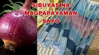 SIBUYAS ANG GAMITIN MONG PAMPASWERTE KUNG IKAW AY LUBOG SA UTANG AT LAGING MAY SAKIT-APPLE PAGUIO1