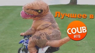 Лучшие приколы в COUB за май 2016 #19 Эволюция