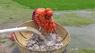 Fishing Machine Fish Trap - Another Day Trap & Get Huge Country Fish - Lady Fishing