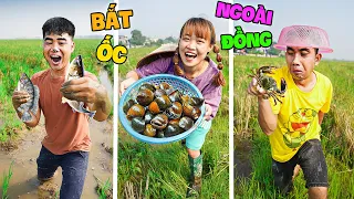 Hà Sam Ra Đồng Bắt Ốc  Và Làm Món Ốc Bươu Luộc Sả Ớt Siêu Cay