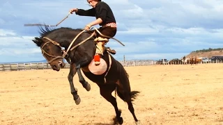 JINETEADA EN AGUA FRESCA PUNTA ARENAS 2015