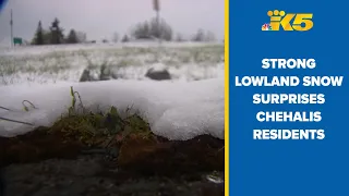 Strong lowland snow impacts surprised Chehalis residents
