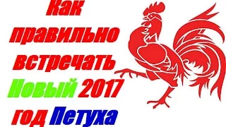 Как правильно встречать Новый 2017 год Петуха