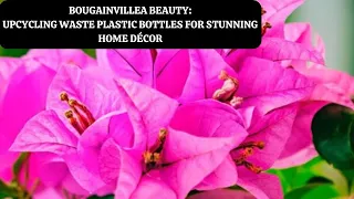 Bougainvillea Beauty  Upcycling Waste Plastic Bottles for Stunning Home Décor