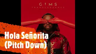 GIMS, Maluma - Hola Señorita (Pitch Down)