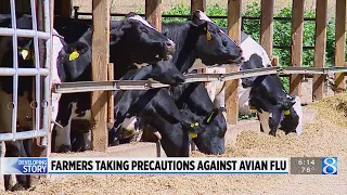 Farmers take precautions to protect livestock from avian flu