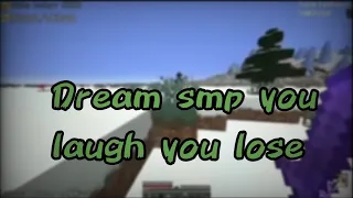 20 minutes of the Dream SMP members being hilarious