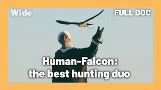 MOROCCO: meeting with the FAMOUS tribe of falconers | WIDE | FULL DOCUMENTARY