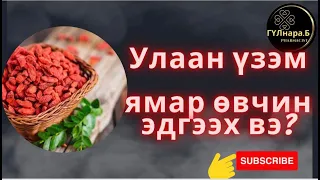 Улаан үзэм/Гожиберри/Улаан үзэмний эмчилгээ