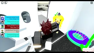 ROBLOX Cat Trip (All Cats) Part IV: AIRPLANE