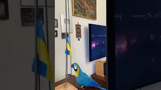 Доброго ранку, ми з України ❤️