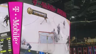 Vegas Golden Knights Goal