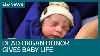 Baby born after first womb transplant from dead donor in Brazil | ITV News