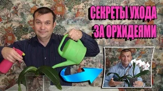 СЕКРЕТ ВЫРАЩИВАНИЯ ОРХИДЕЙ. УХОД ЗА ОРХИДЕЯМИ ФАЛЕНОПСИС В ДОМАШНИХ УСЛОВИЯХ. ПОЛИВ ОРХИДЕЙ